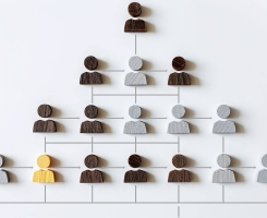 Transformação Organizacional: Como Superar Obstáculos e Abraçar a Mudança no Mundo Corporativo