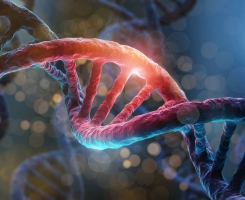 Uma revolução chamada EPIGENÉTICA