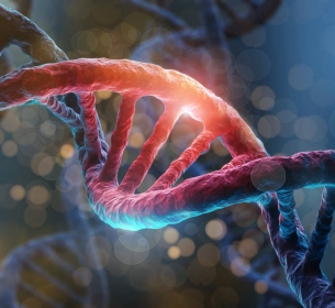 Uma revolução chamada EPIGENÉTICA